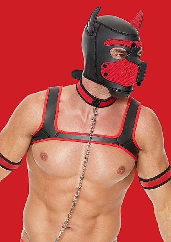 Ouch! Neoprene Puppy Kit - L/XL