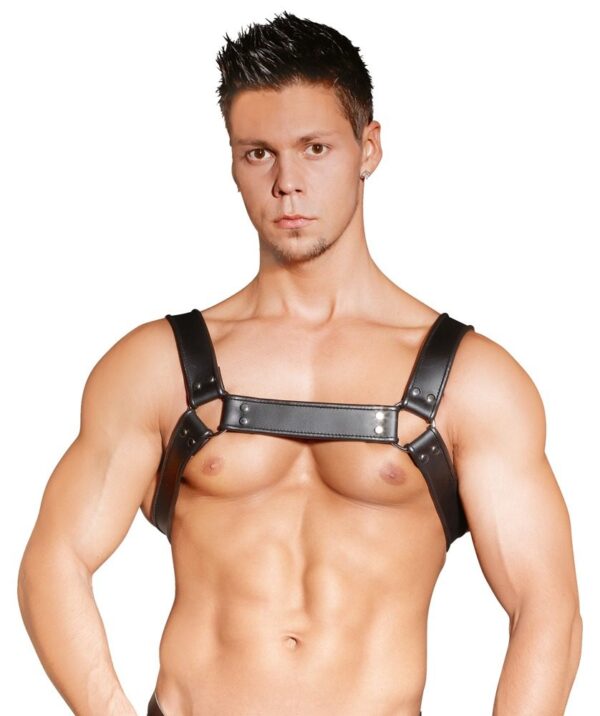 Zado Harness (torso)